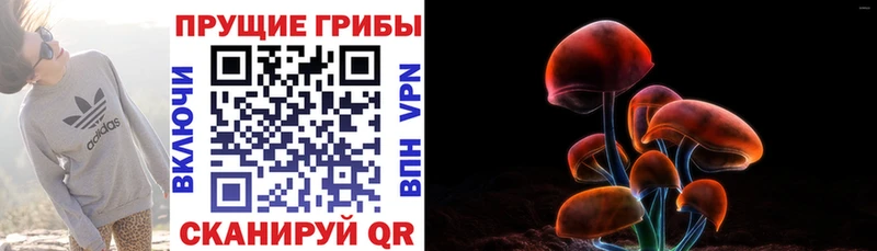 Галлюциногенные грибы Psilocybine cubensis  гидра зеркало  Абакан  как найти закладки 